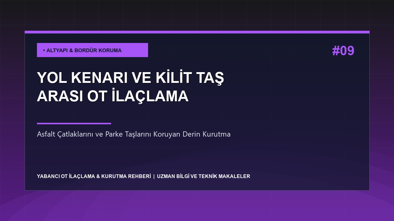 Yol Kenarı, Kaldırım ve Kilit Taş Arası Ot İlaçlama Teknikleri